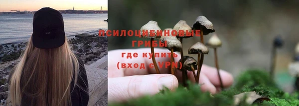 гидропоника Беломорск