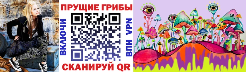 наркошоп  Ясный  Галлюциногенные грибы Psilocybine cubensis 